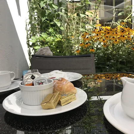 加尔尼布鲁格酒店 3* 林道